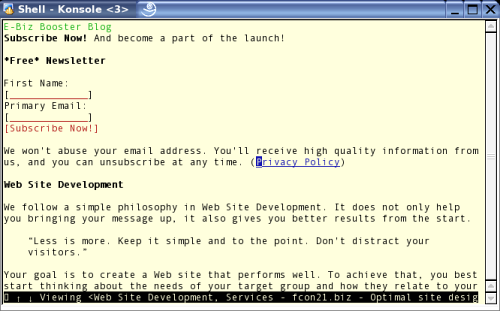 Text Browser Screenshot - fcon21.biz
